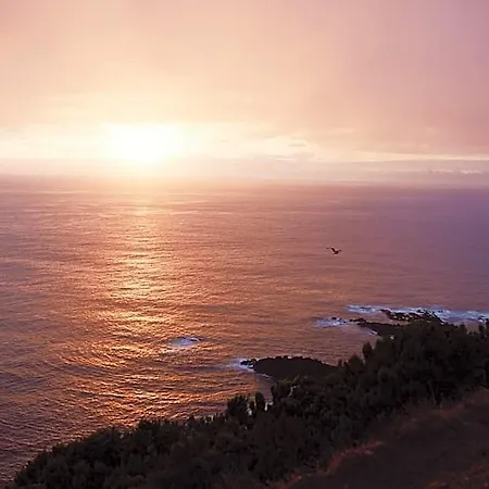 Hotel Salt Lips - Azores Surf Experience *