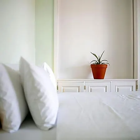 Hotel Salt Lips - Azores Surf Experience Livramento